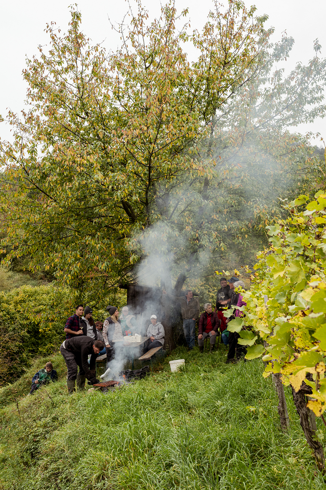 Grillen Barbecue im Weingarten Weinlese Wachau https://www.joseffischer.at