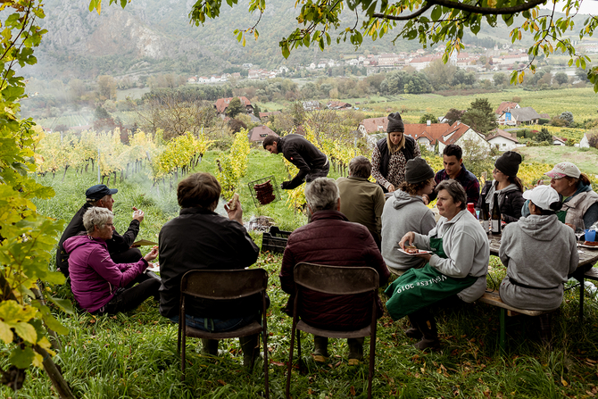 Mittagspause während der Weinlese im Weingarten Wachau https://www.joseffischer.at