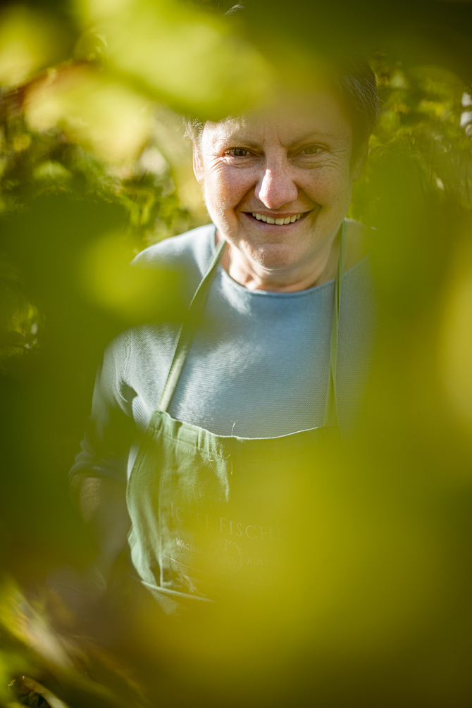 Portrait im Weingarten Josef Fischer Weinlese Wachau https://www.joseffischer.at