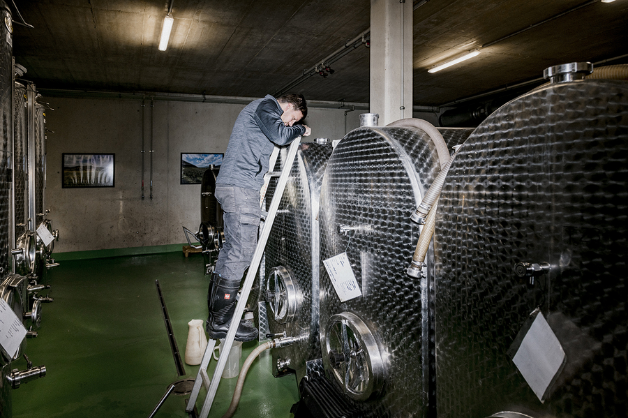 Weingut Josef Fischer Wachau Rossatz Grüner Veltliner Federspiel abfüllen Weingut Josef Fischer in der Wachau beim Abfüllen des Jahrganges 2023 https://www.joseffischer.at/