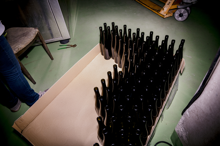 leere Weinflaschen - Weingut Josef Fischer in der Wachau beim Abfüllen des Jahrganges 2023 https://www.joseffischer.at/