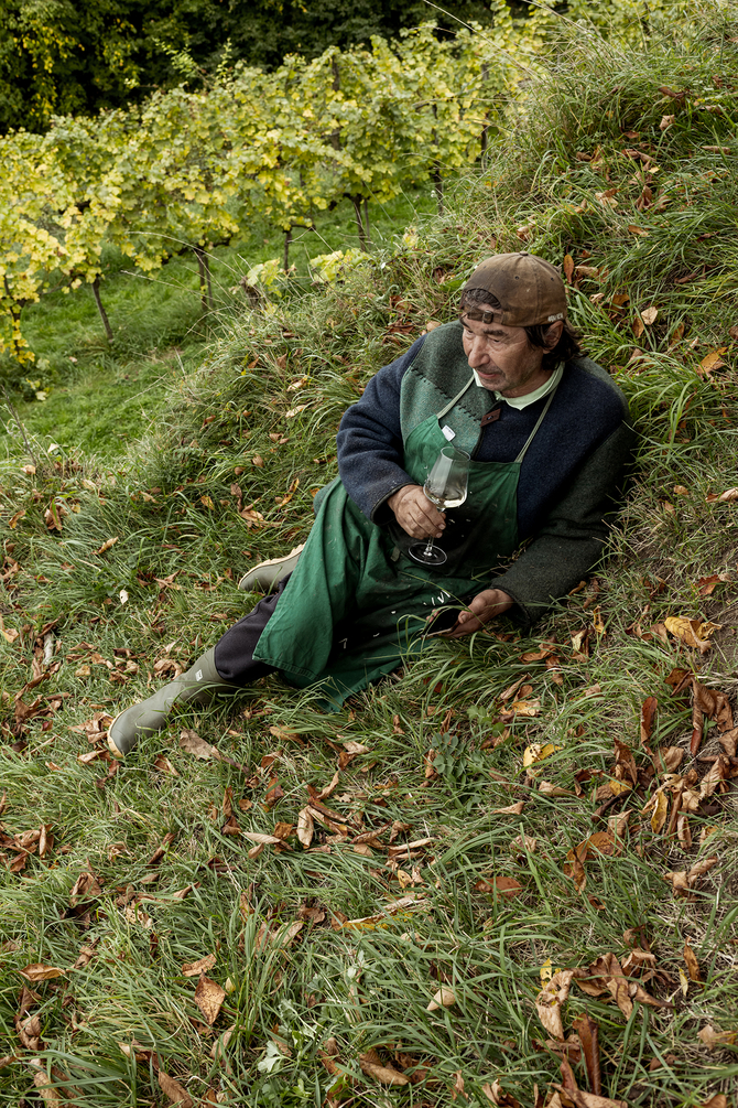 Mann mit Weißwein im Weingarten Weinlese Wachau https://www.joseffischer.at