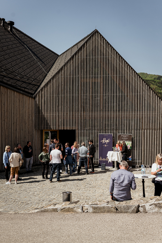 Weingut Georg und Josef Högl Weinfrühling Wachau https://www.weingut-hoegl.at/